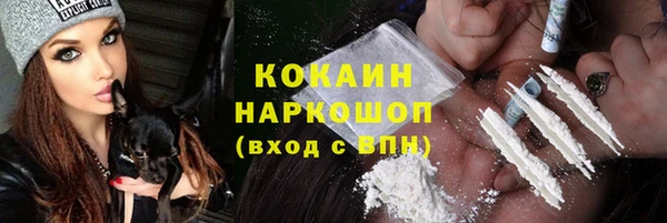 шишки Вязники